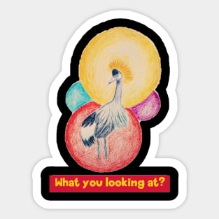 What are you looking at - crowned crane Sticker